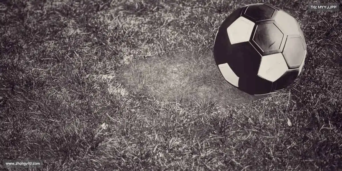 ld乐动——点燃运动激情，释放无限活力！🏋️‍♂️💥